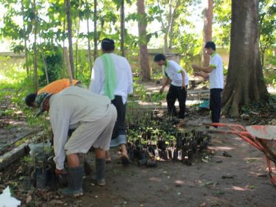 โครงการปลูกป่าเฉลิมพระเกียรติ