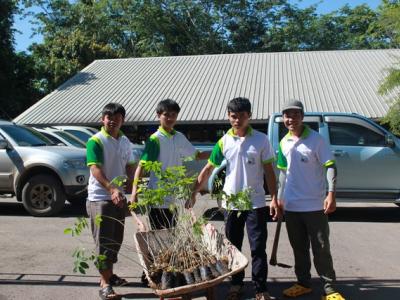 โครงการปลูกป่าเฉลิมพระเกียรติ