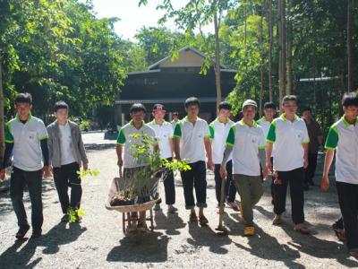 โครงการปลูกป่าเฉลิมพระเกียรติ