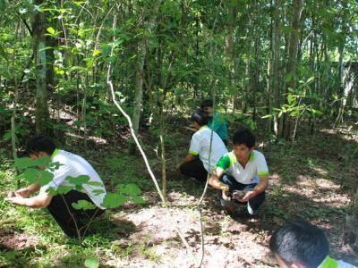 โครงการปลูกป่าเฉลิมพระเกียรติ