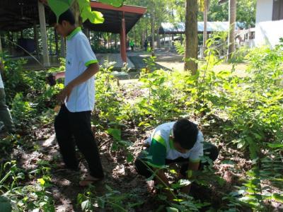 โครงการปลูกป่าเฉลิมพระเกียรติ