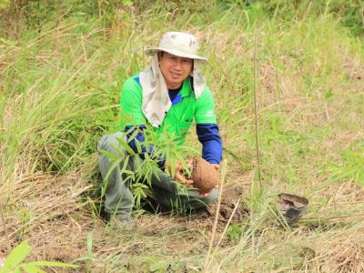 ปลูกป่าให้ช้าง เขตรักษาพันธ์สัตว์ป่าภูหลวง 23 ส.ค. 57