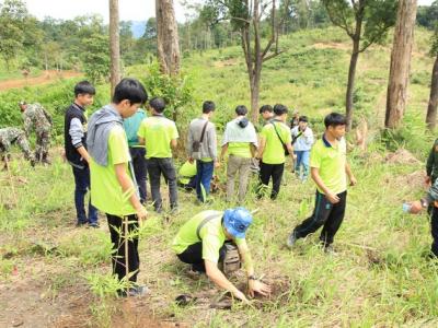 ปลูกป่าให้ช้าง เขตรักษาพันธ์สัตว์ป่าภูหลวง 23 ส.ค. 57