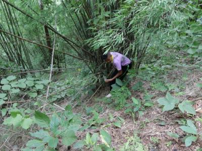 โครงการเก็บขยะบนภูบ่อบิด