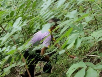 โครงการเก็บขยะบนภูบ่อบิด