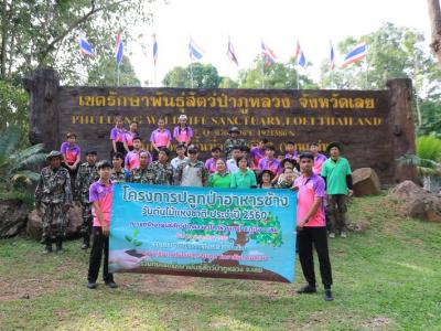 60-ปลูกป่า เขตรักษาพันธ์สัตว์ป่าภูหลวง