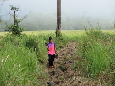 60-ปลูกป่า เขตรักษาพันธ์สัตว์ป่าภูหลวง