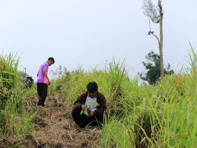 60-ปลูกป่า เขตรักษาพันธ์สัตว์ป่าภูหลวง