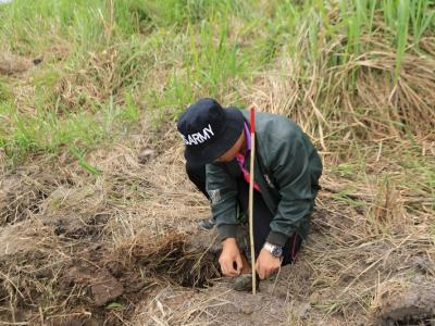 60-ปลูกป่า เขตรักษาพันธ์สัตว์ป่าภูหลวง