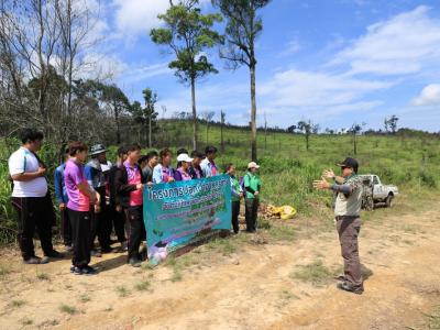 60-ปลูกป่า เขตรักษาพันธ์สัตว์ป่าภูหลวง